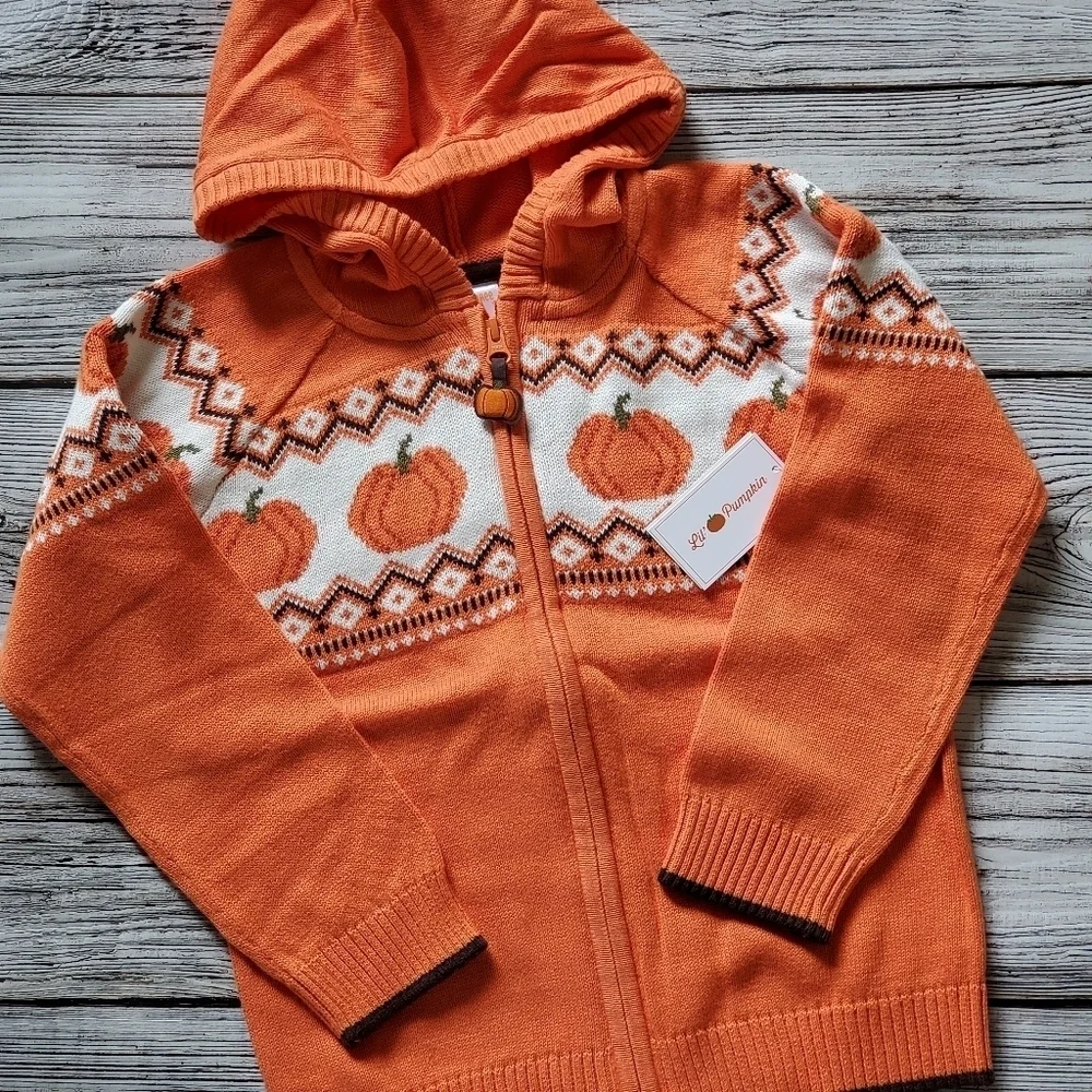 Gymboree Orange Pumpkin Sweater Lil's Pumpkin Collection Hooded Zip Up Sweater